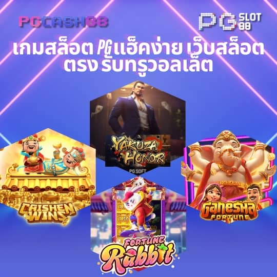 เข้า pg